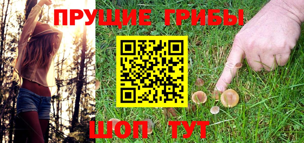 Псилоцибиновые грибы мицелий Каменск-Уральский