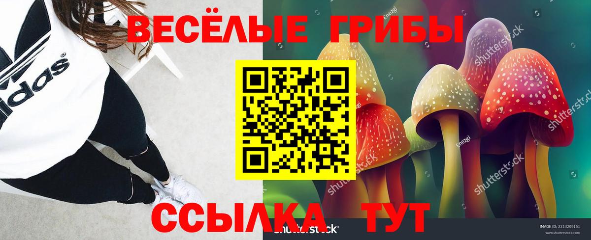 Псилоцибиновые грибы Cubensis  Вход с VPN  где можно купить   Каменск-Уральский 